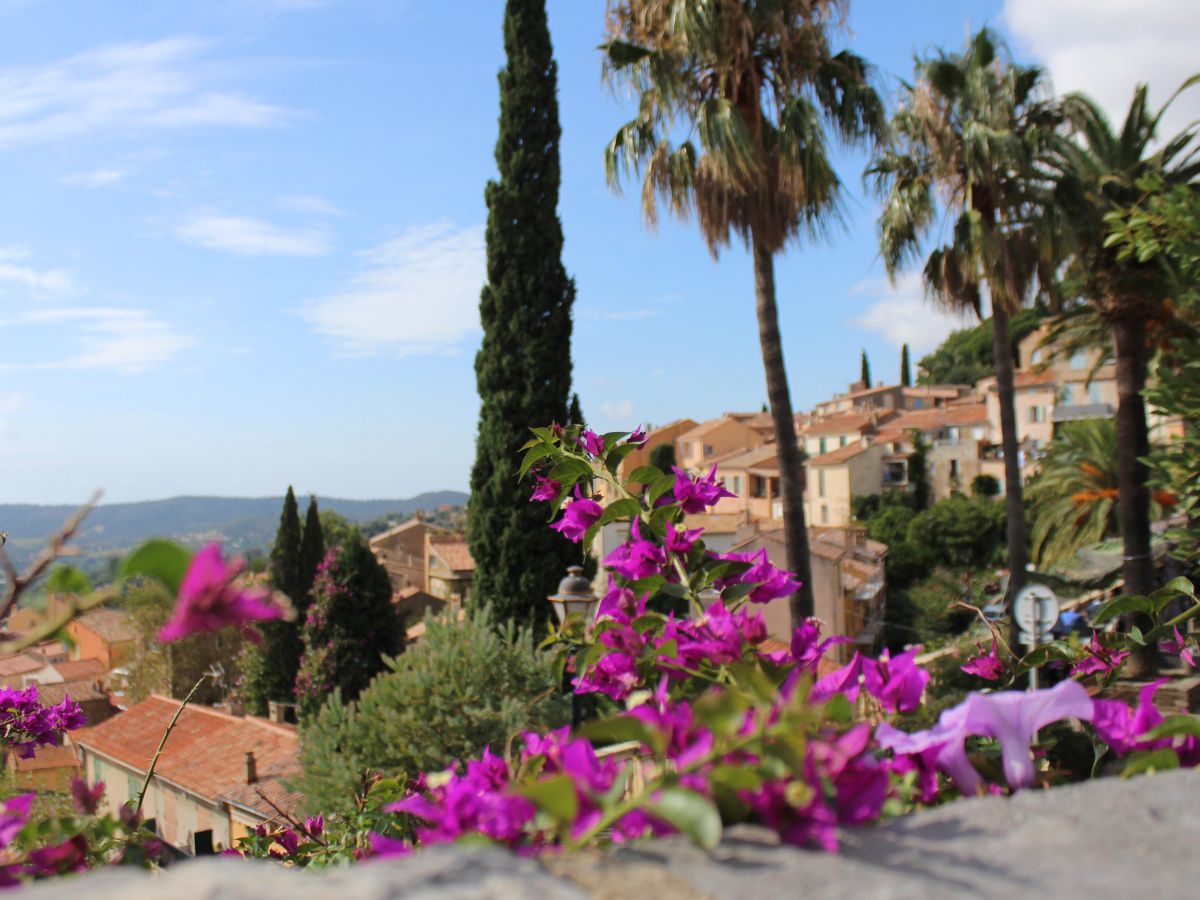 maison expert batiment