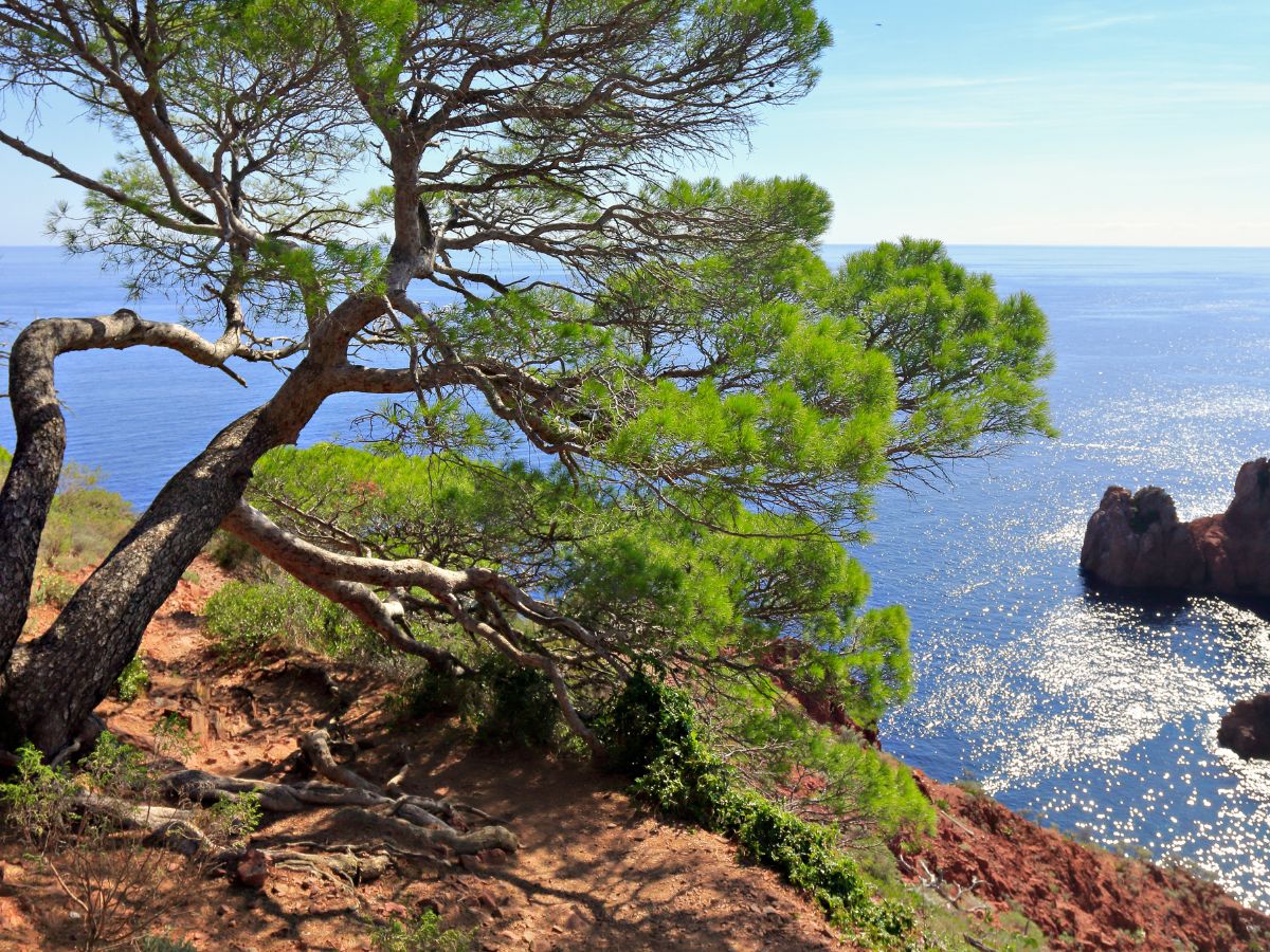 expert batiment saint-raphael