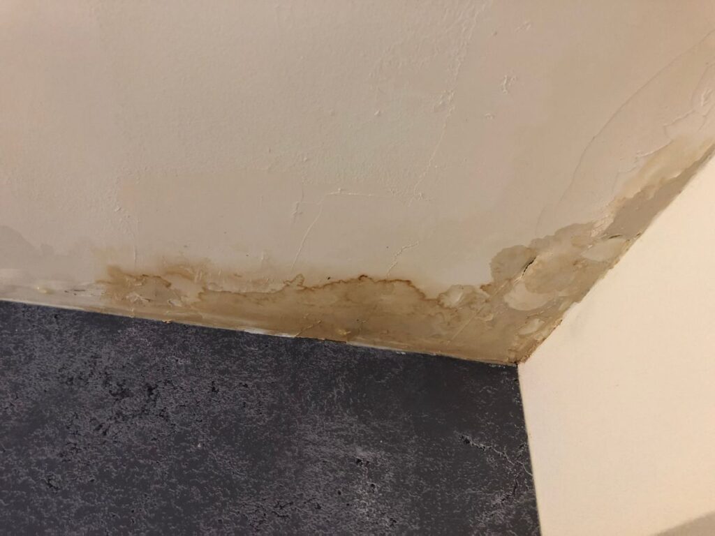 expertise humidité maison expertise humidité maison