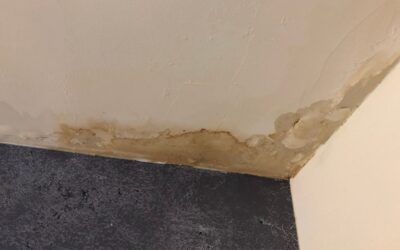 Humidité et moisissures : quand faire appel à un expert ?