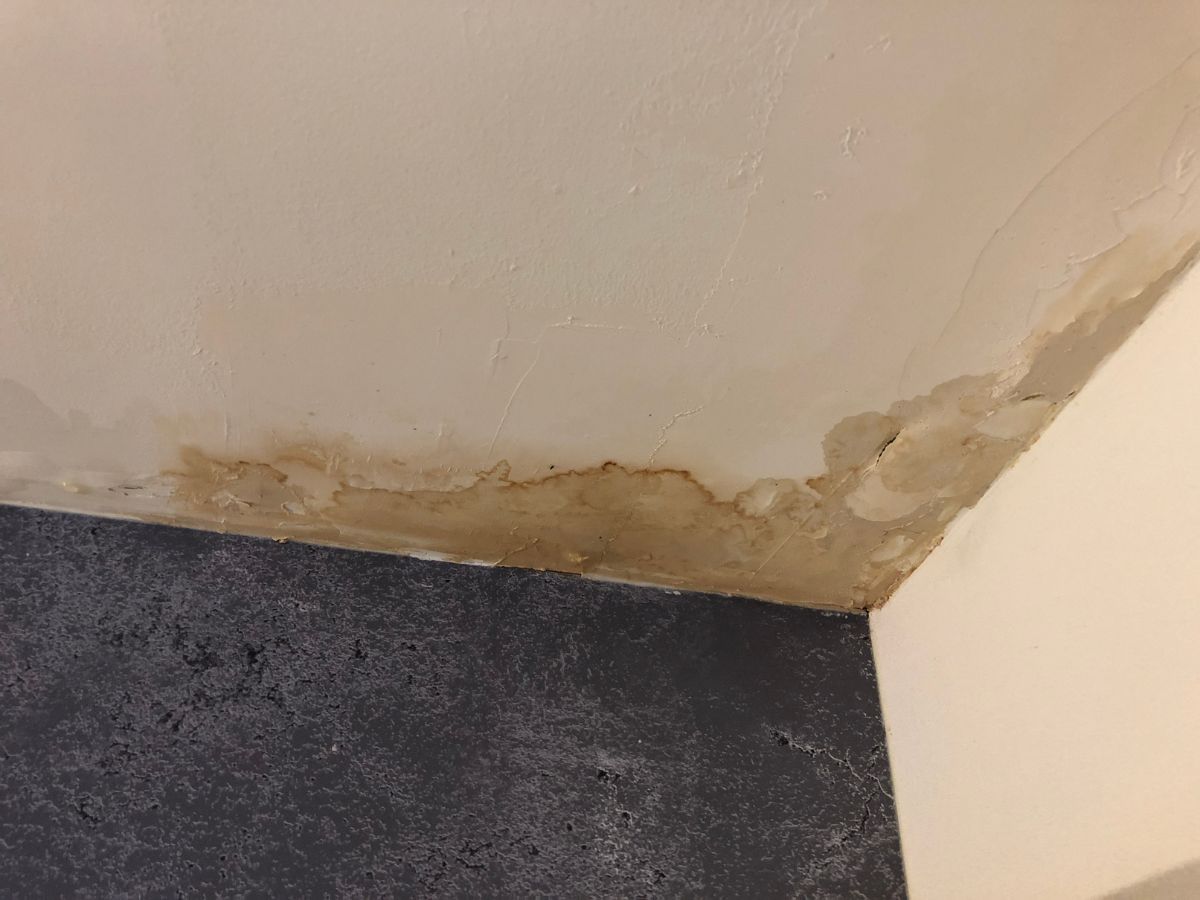 expertise humidité maison